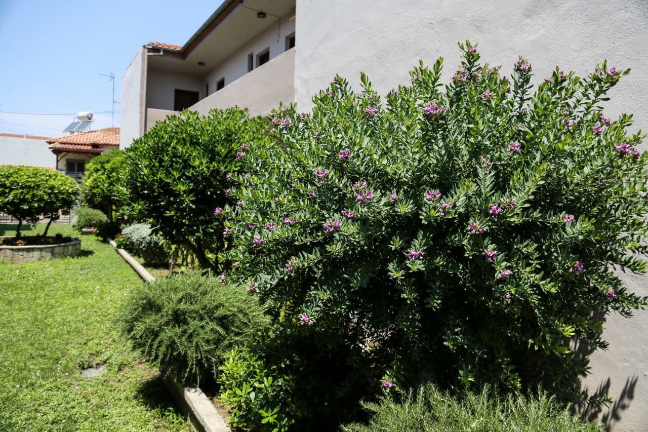 Yannis Apartments Áfitos Exterior foto